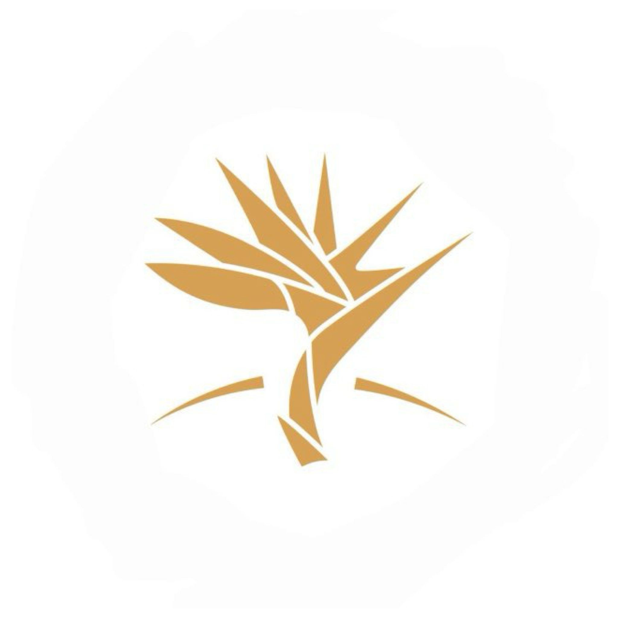 گل فروشی هوشنگ جردن